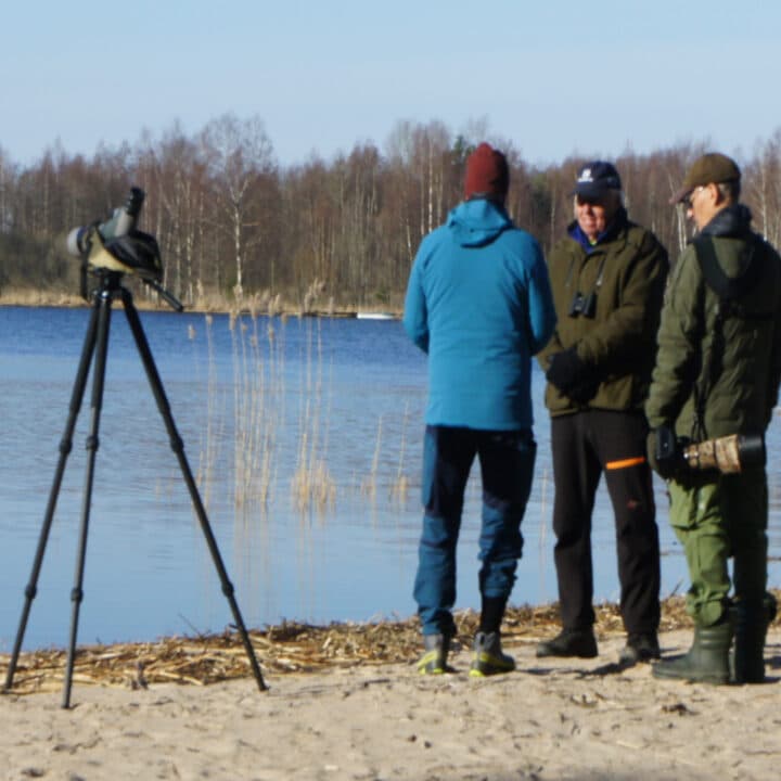 Vårbobadet en tidig vårmorgon.