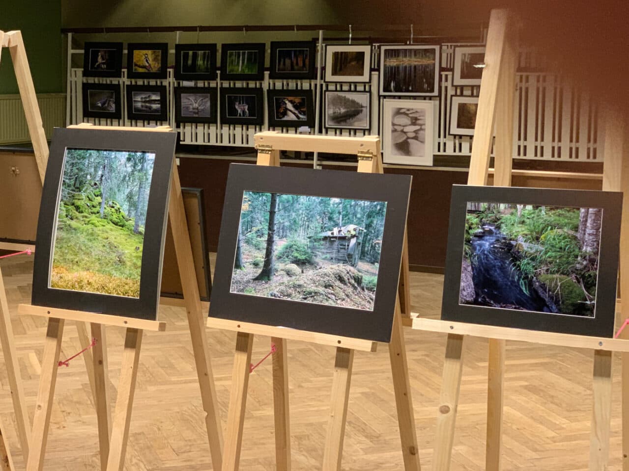 Degerfors Naturfotodag