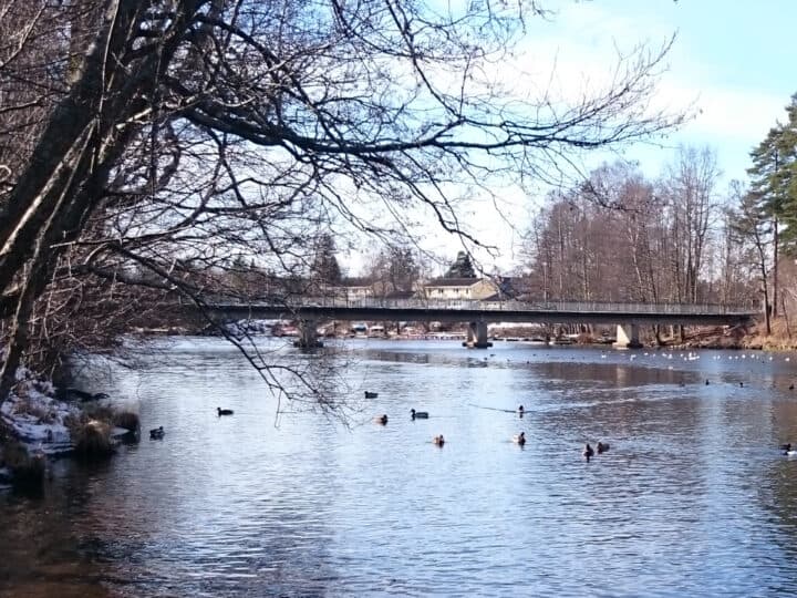 Våren på Letälven