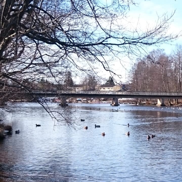 Våren på Letälven