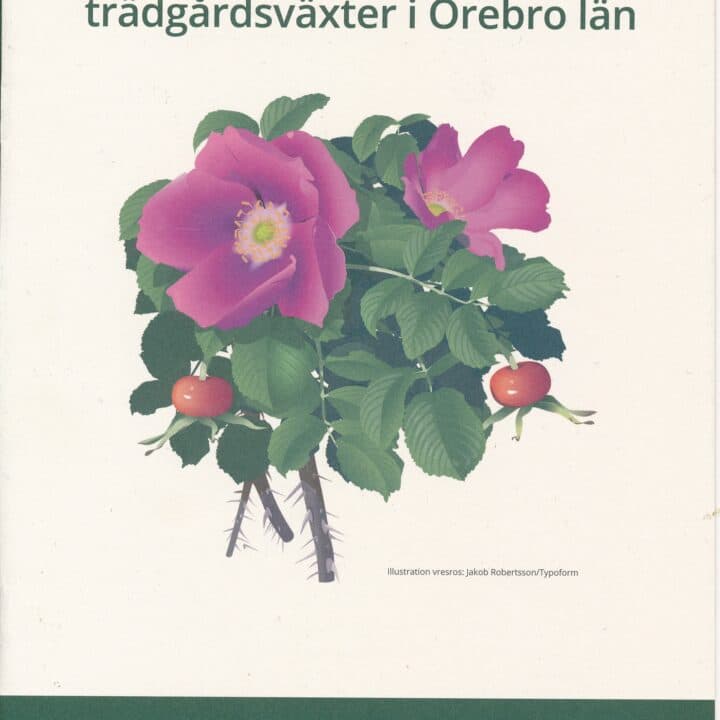 Invasiva arter